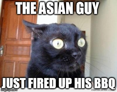 Scared Cat | THE ASIAN GUY; JUST FIRED UP HIS BBQ | image tagged in scared cat | made w/ Imgflip meme maker