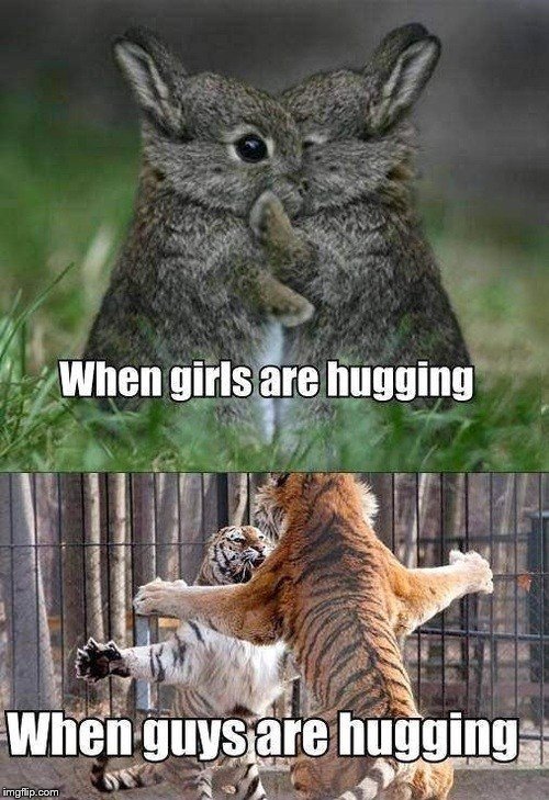Funny and cute animals :)  | image tagged in cute bunny,funny memes,funny animals,memes,tiger | made w/ Imgflip meme maker
