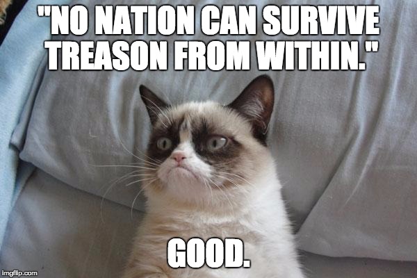 Grumpy Cat Bed Meme | "NO NATION CAN SURVIVE TREASON FROM WITHIN."; GOOD. | image tagged in memes,grumpy cat bed,grumpy cat | made w/ Imgflip meme maker
