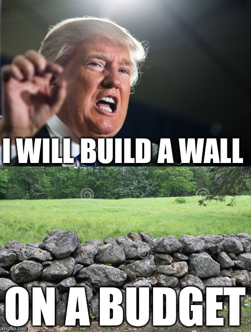 I WILL BUILD A WALL; ON A BUDGET | image tagged in donald trump,wall,memes,mexico | made w/ Imgflip meme maker