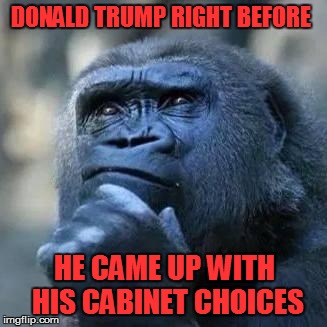 Thinking ape | DONALD TRUMP RIGHT BEFORE; HE CAME UP WITH HIS CABINET CHOICES | image tagged in thinking ape | made w/ Imgflip meme maker