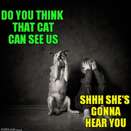 DO YOU THINK THAT CAT CAN SEE US SHHH SHE'S GONNA HEAR YOU | made w/ Imgflip meme maker