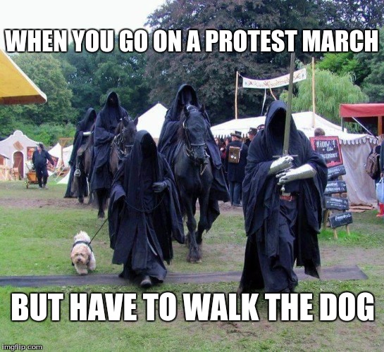 WHEN YOU GO ON A PROTEST MARCH; BUT HAVE TO WALK THE DOG | image tagged in trump protestors,walking,dog | made w/ Imgflip meme maker