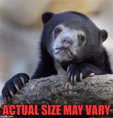 Confession Bear Meme | ACTUAL SIZE MAY VARY | image tagged in memes,confession bear | made w/ Imgflip meme maker