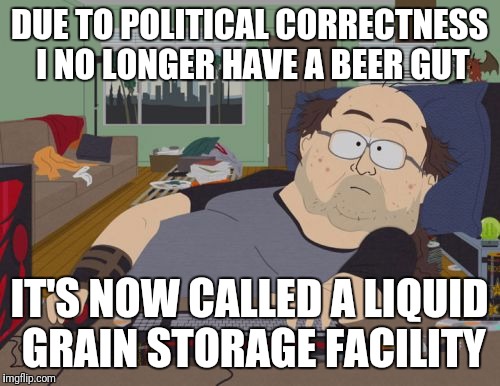 RPG Fan | DUE TO POLITICAL CORRECTNESS I NO LONGER HAVE A BEER GUT; IT'S NOW CALLED A LIQUID GRAIN STORAGE FACILITY | image tagged in memes,rpg fan | made w/ Imgflip meme maker
