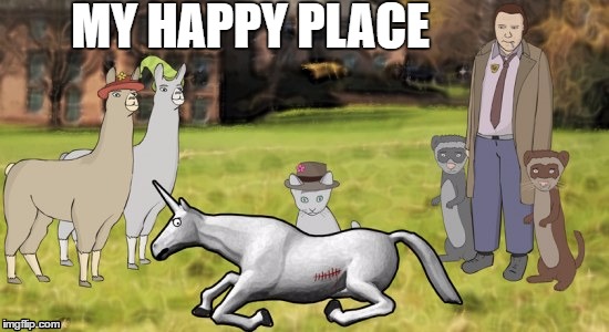 happy place | MY HAPPY PLACE | image tagged in filmcow,llamas with hats,ferrets,charlie the unicorn | made w/ Imgflip meme maker