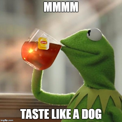 tasting like a dog..? | MMMM; TASTE LIKE A DOG | image tagged in memes,but thats none of my business,kermit the frog | made w/ Imgflip meme maker