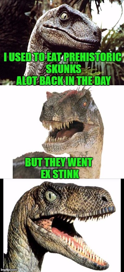 Smelly Bad Pun Velociraptor | I USED TO EAT PREHISTORIC SKUNKS ALOT BACK IN THE DAY; BUT THEY WENT EX STINK | image tagged in bad pun velociraptor,memes,jurassic park,skunk,stinky,dinner | made w/ Imgflip meme maker