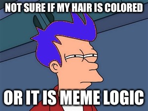 Blue Futurama Fry Meme | NOT SURE IF MY HAIR IS COLORED; OR IT IS MEME LOGIC | image tagged in memes,blue futurama fry | made w/ Imgflip meme maker