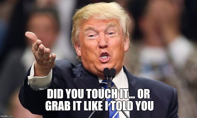 DID YOU TOUCH IT... OR GRAB IT LIKE I TOLD YOU | image tagged in donald trump,memes,funny memes,president trump,trump,hot memes | made w/ Imgflip meme maker