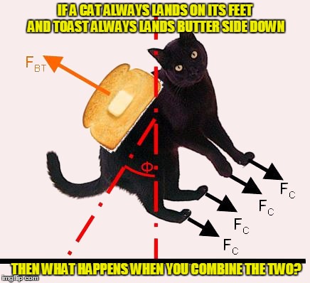 Do not tamper with sorcery | IF A CAT ALWAYS LANDS ON ITS FEET AND TOAST ALWAYS LANDS BUTTER SIDE DOWN; THEN WHAT HAPPENS WHEN YOU COMBINE THE TWO? | image tagged in memes,cats,buttered toast,gravity,physics | made w/ Imgflip meme maker
