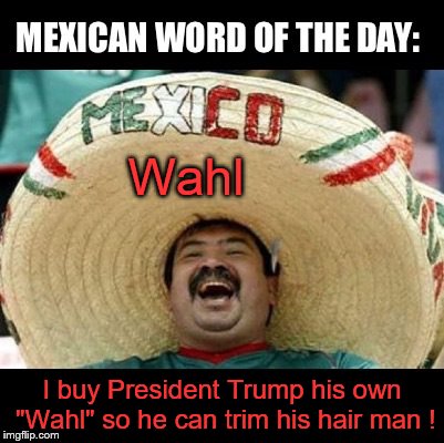 Mexico buys President Trump his own wall ! | Wahl; I buy President Trump his own "Wahl" so he can trim his hair man ! | image tagged in mexican word of the day large,president trump,trump wall,mexico,donald trumph hair | made w/ Imgflip meme maker