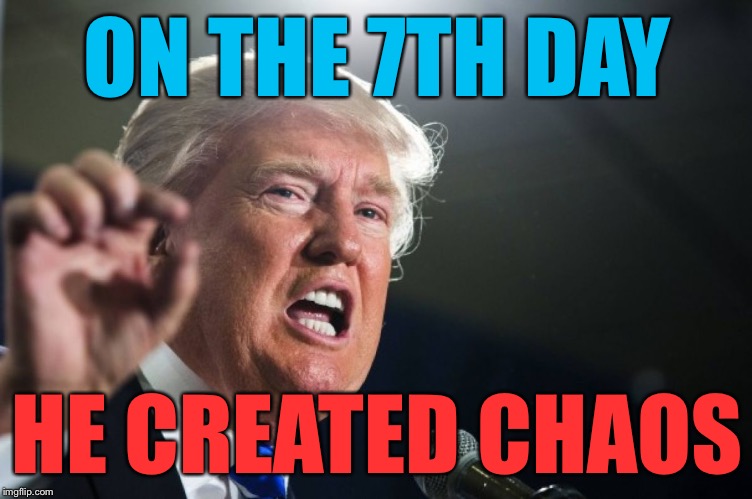 Donald Trump's America | ON THE 7TH DAY; HE CREATED CHAOS | image tagged in donald trump,memes | made w/ Imgflip meme maker