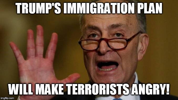 Chuck Schumer | TRUMP'S IMMIGRATION PLAN; WILL MAKE TERRORISTS ANGRY! | image tagged in chuck schumer | made w/ Imgflip meme maker