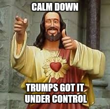 CALM DOWN; TRUMPS GOT IT UNDER CONTROL | image tagged in memes,funny memes,smiling jesus,donald trump,so true memes,donald trump approves | made w/ Imgflip meme maker