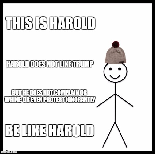 Be Like Bill Meme | THIS IS HAROLD HAROLD DOES NOT LIKE TRUMP BUT HE DOES NOT COMPLAIN OR WHINE, OR EVEN PROTEST IGNORANTLY BE LIKE HAROLD | image tagged in memes,be like bill | made w/ Imgflip meme maker