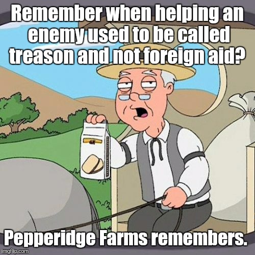 Pepperidge Farms Remembers | Remember when helping an enemy used to be called treason and not foreign aid? Pepperidge Farms remembers. | image tagged in pepperidge farms remembers | made w/ Imgflip meme maker