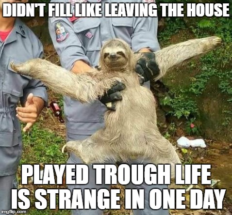 Happy Sloth | DIDN'T FILL LIKE LEAVING THE HOUSE; PLAYED TROUGH LIFE IS STRANGE IN ONE DAY | image tagged in happy sloth | made w/ Imgflip meme maker