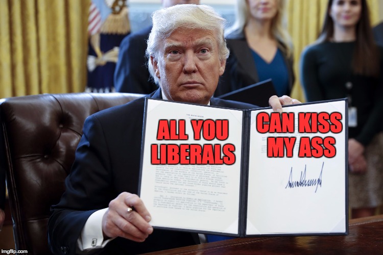 Donald Trump Executive Order | CAN KISS MY ASS; ALL YOU LIBERALS | image tagged in donald trump executive order | made w/ Imgflip meme maker