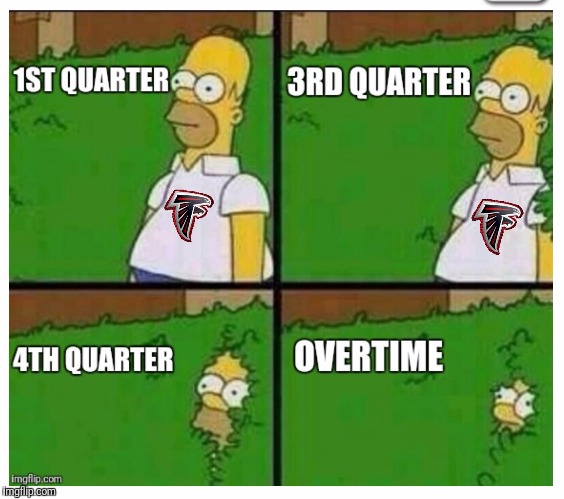 Falcons Fans | image tagged in atlanta falcons,superbowl 50,new england patriots,nfl memes,nfl,tom brady | made w/ Imgflip meme maker
