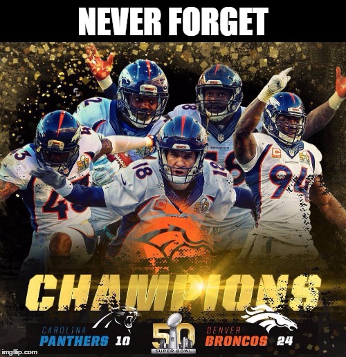 It was a great day! | NEVER FORGET | image tagged in memes,funny,broncos,super bowl,panthers,nfl | made w/ Imgflip meme maker