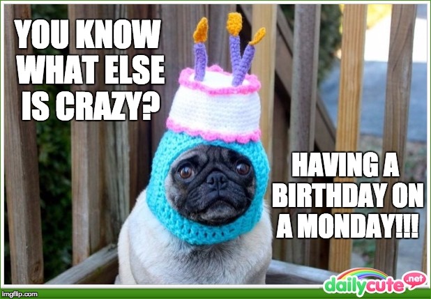 Happy birthday pug | YOU KNOW WHAT ELSE IS CRAZY? HAVING A BIRTHDAY ON A MONDAY!!! | image tagged in happy birthday pug | made w/ Imgflip meme maker