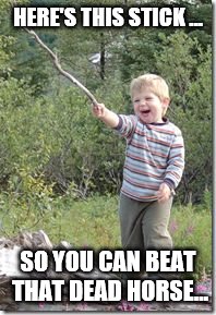 Kid w stick | HERE'S THIS STICK ... SO YOU CAN BEAT THAT DEAD HORSE... | image tagged in kid w stick | made w/ Imgflip meme maker