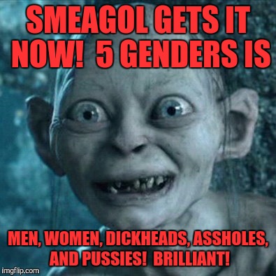 Gollum | SMEAGOL GETS IT NOW!  5 GENDERS IS; MEN, WOMEN, DICKHEADS, ASSHOLES, AND PUSSIES!  BRILLIANT! | image tagged in memes,gollum | made w/ Imgflip meme maker