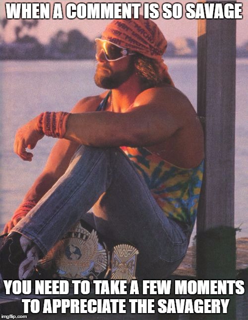 Randy Savage | WHEN A COMMENT IS SO SAVAGE; YOU NEED TO TAKE A FEW MOMENTS TO APPRECIATE THE SAVAGERY | image tagged in randy savage | made w/ Imgflip meme maker
