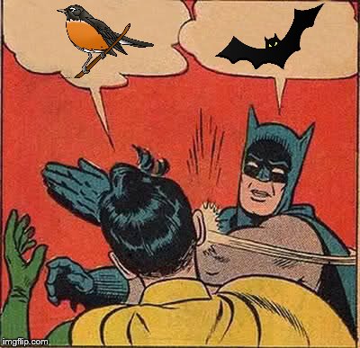 Batman Slapping Robin | , , | image tagged in memes,batman slapping robin,funny memes,bat,no words,silent | made w/ Imgflip meme maker