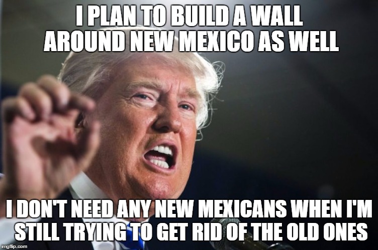 donald trump | I PLAN TO BUILD A WALL AROUND NEW MEXICO AS WELL; I DON'T NEED ANY NEW MEXICANS WHEN I'M STILL TRYING TO GET RID OF THE OLD ONES | image tagged in donald trump | made w/ Imgflip meme maker