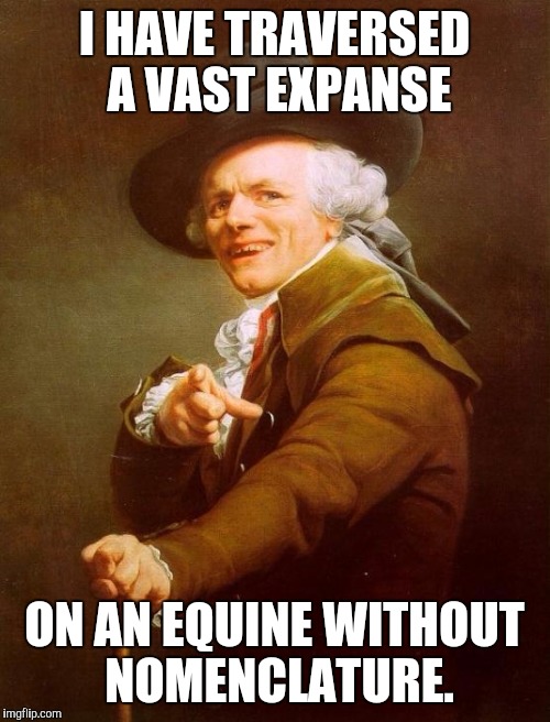 Joseph Ducreux | I HAVE TRAVERSED A VAST EXPANSE; ON AN EQUINE WITHOUT NOMENCLATURE. | image tagged in memes,joseph ducreux | made w/ Imgflip meme maker