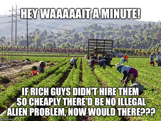 Alien Logic | HEY WAAAAAIT A MINUTE! IF RICH GUYS DIDN'T HIRE THEM SO CHEAPLY THERE'D BE NO ILLEGAL ALIEN PROBLEM, NOW WOULD THERE??? | image tagged in illegal aliens,illegal immigrants | made w/ Imgflip meme maker