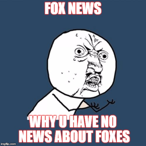 Y U No | FOX NEWS; WHY U HAVE N0 NEWS ABOUT FOXES | image tagged in memes,y u no | made w/ Imgflip meme maker