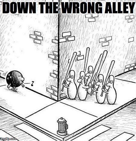 When Pins Go On Strike | DOWN THE WRONG ALLEY | image tagged in bowling ball,funny meme | made w/ Imgflip meme maker