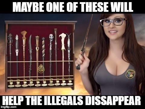 MAYBE ONE OF THESE WILL HELP THE ILLEGALS DISSAPPEAR | made w/ Imgflip meme maker