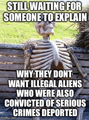 Waiting Skeleton Meme | STILL WAITING FOR SOMEONE TO EXPLAIN WHY THEY DONT WANT ILLEGAL ALIENS WHO WERE ALSO CONVICTED OF SERIOUS CRIMES DEPORTED | image tagged in memes,waiting skeleton | made w/ Imgflip meme maker