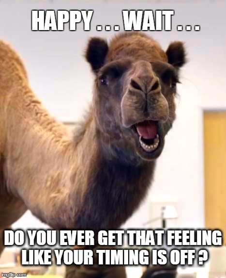 HAPPY . . . WAIT . . . DO YOU EVER GET THAT FEELING LIKE YOUR TIMING IS OFF ? | image tagged in hump day camel,hump day,happy tuesday,that feeling when | made w/ Imgflip meme maker