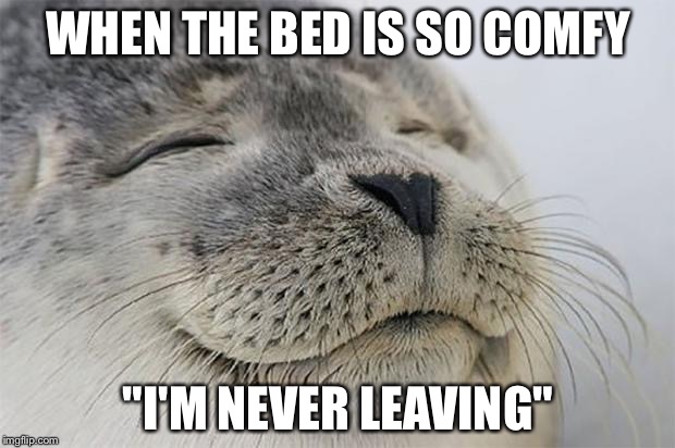 Satisfied Seal | WHEN THE BED IS SO COMFY; "I'M NEVER LEAVING" | image tagged in memes,satisfied seal | made w/ Imgflip meme maker