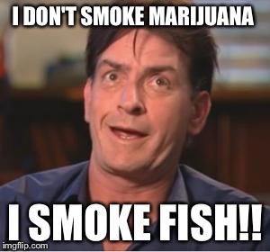 Charlie Sheen | I DON'T SMOKE MARIJUANA; I SMOKE FISH!! | image tagged in charlie sheen | made w/ Imgflip meme maker