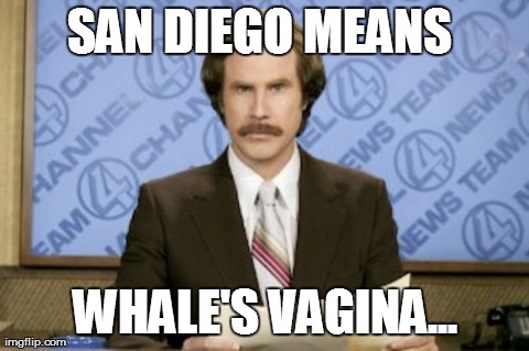 Ron Burgundy Meme | SAN DIEGO MEANS  WHALE'S VA**NA... | image tagged in memes,ron burgundy | made w/ Imgflip meme maker