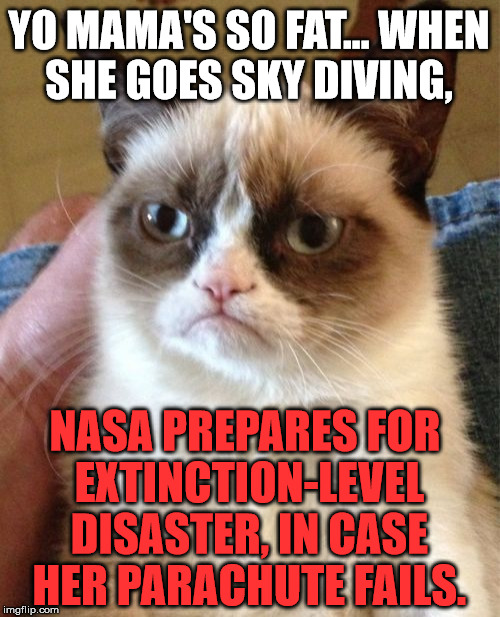 Grumpy Cat | YO MAMA'S SO FAT... WHEN SHE GOES SKY DIVING, NASA PREPARES FOR EXTINCTION-LEVEL DISASTER, IN CASE HER PARACHUTE FAILS. | image tagged in memes,grumpy cat,yo mamas so fat,grumpy,funny,yo mama so fat | made w/ Imgflip meme maker