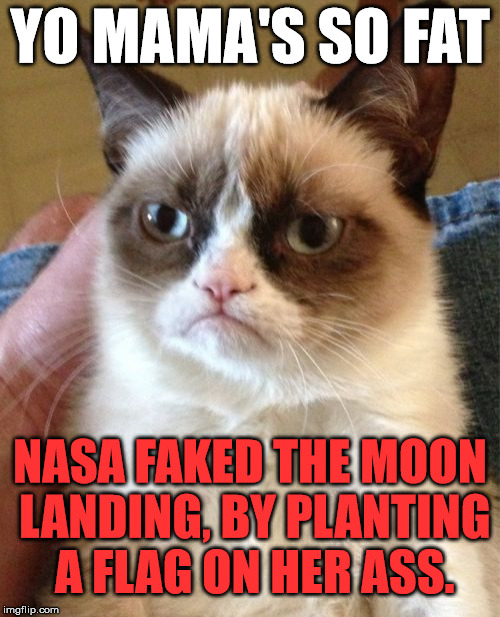 Grumpy Cat | YO MAMA'S SO FAT; NASA FAKED THE MOON LANDING, BY PLANTING A FLAG ON HER ASS. | image tagged in memes,grumpy cat,funny,grumpy,yo mamas so fat,yo mama so fat | made w/ Imgflip meme maker