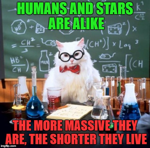 Chemistry Cat | HUMANS AND STARS ARE ALIKE; THE MORE MASSIVE THEY ARE, THE SHORTER THEY LIVE | image tagged in memes,chemistry cat,funny,universe,insult,physics | made w/ Imgflip meme maker