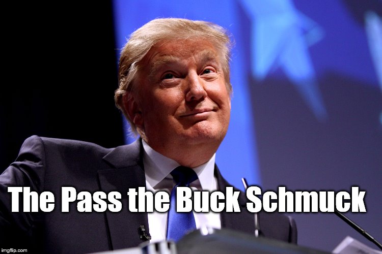 Donald Trump No2 | The Pass the Buck Schmuck | image tagged in donald trump no2 | made w/ Imgflip meme maker
