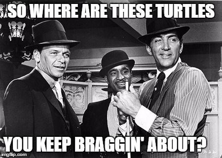 SO WHERE ARE THESE TURTLES YOU KEEP BRAGGIN' ABOUT? | made w/ Imgflip meme maker