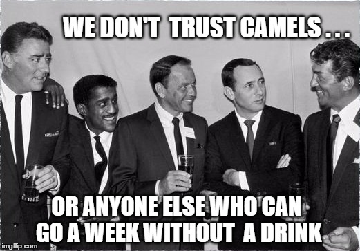 Rat Pack Week - A Lynch1979 event | WE DON'T  TRUST CAMELS . . . OR ANYONE ELSE WHO CAN GO A WEEK WITHOUT  A DRINK | image tagged in rat pack 2,lynch1979,drinking,rat pack week,frank sinatra,las vegas | made w/ Imgflip meme maker