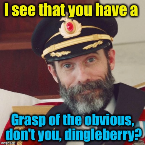 I see that you have a Grasp of the obvious, don't you, dingleberry? | made w/ Imgflip meme maker