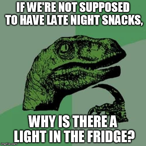 Late Night | IF WE'RE NOT SUPPOSED TO HAVE LATE NIGHT SNACKS, WHY IS THERE A LIGHT IN THE FRIDGE? | image tagged in memes,philosoraptor,funny,funny memes,food,logic | made w/ Imgflip meme maker