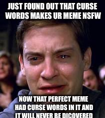 Peter Parker crying | JUST FOUND OUT THAT CURSE WORDS MAKES UR MEME NSFW; NOW THAT PERFECT MEME HAD CURSE WORDS IN IT AND IT WILL NEVER BE DICOVERED | image tagged in peter parker crying | made w/ Imgflip meme maker